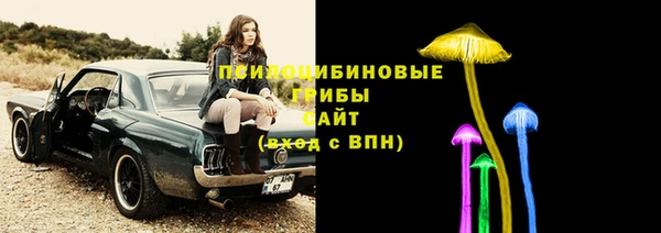 мяу мяу мука Тайга