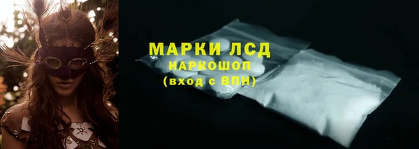 мяу мяу мука Тайга