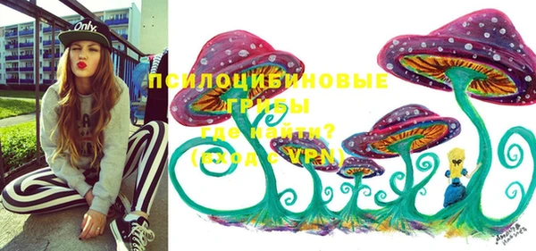 MDMA Premium VHQ Сясьстрой
