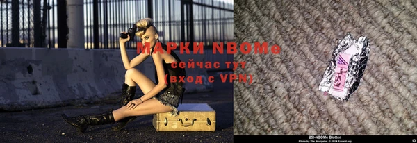 сатива Кострома