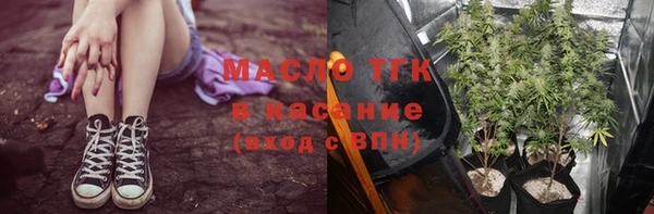 сатива Кострома