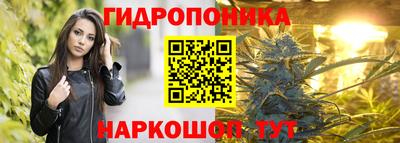 прущие грибы Аргун