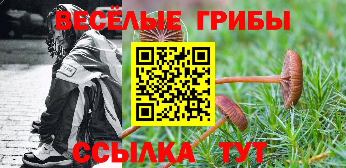 Псилоцибиновые грибы Psilocybe Череповец