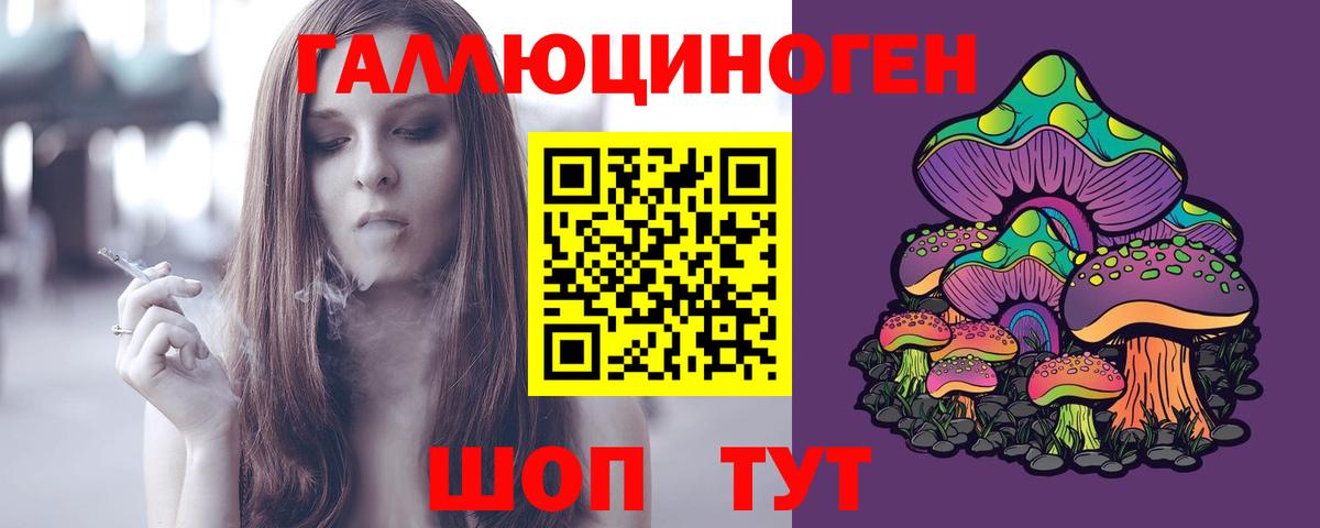 Череповец  Псилоцибиновые грибы Magic Shrooms  Вход с VPN  Псилоцибиновые грибы Psilocybine cubensis 